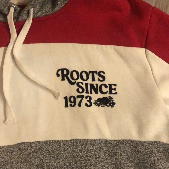 Roots Red and Gray Color-Block Hoodie Sweatshirt - Picture 2 of 4
